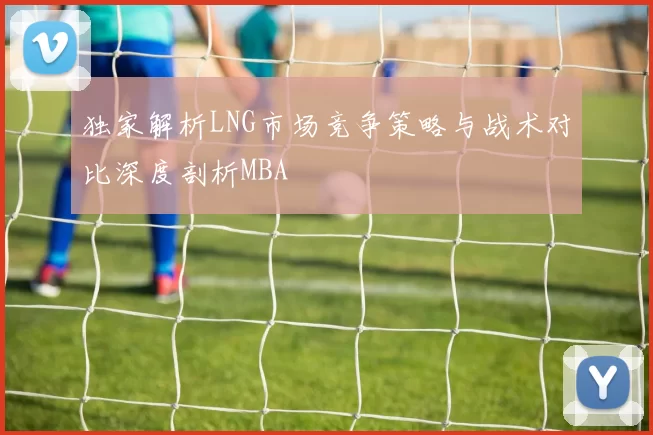 独家解析LNG市场竞争策略与战术对比深度剖析MBA