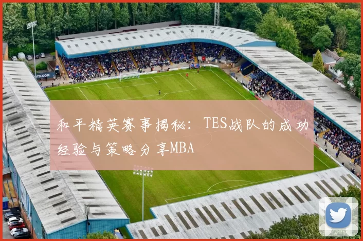和平精英赛事揭秘：TES战队的成功经验与策略分享MBA