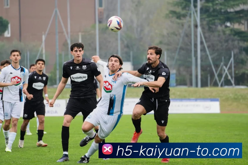 多媒体互动体验